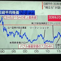 日経平均30年のグラフ